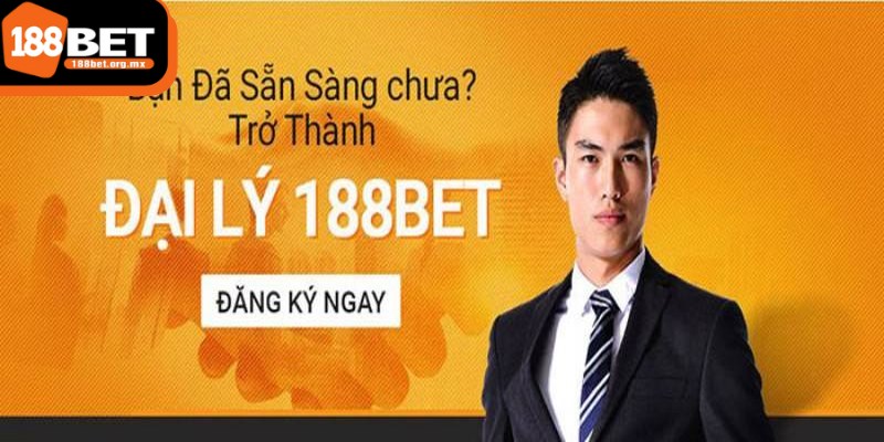 Đại lý 188BET - Cơ hội làm giàu dễ dàng cho anh em 4 Theo dõi và đánh giá kết quả của hoạt động đại lý